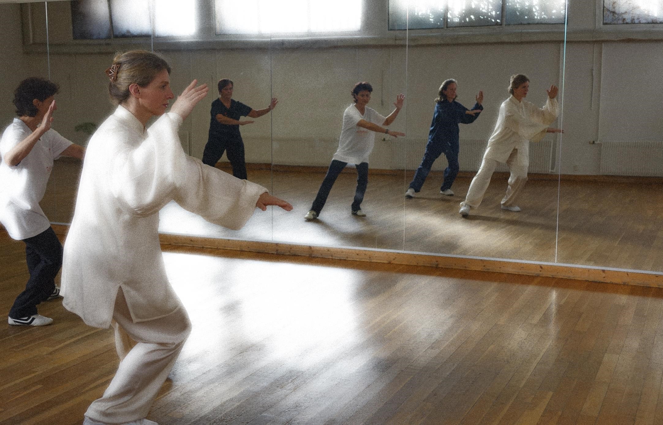 Pratique de TAI CHI CHUAN forme Yang dans une ambiance détendue
