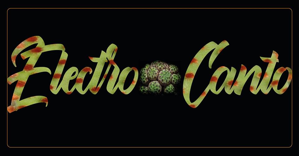 Electro-Canto // Dj Set & Chant