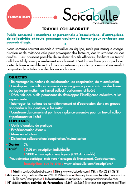 Formation Travail Collaboratif