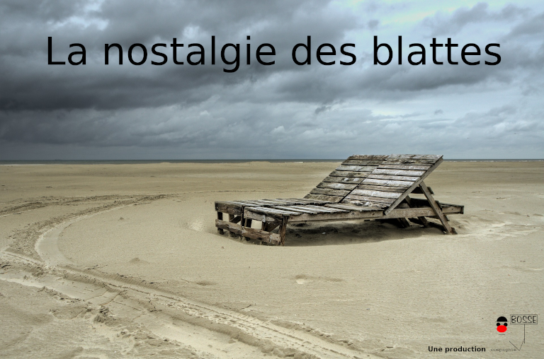 La Nostalgie des blattes - Par la Bosse Cie De P. Notte - Mise en scène de S. Pillot, festival Brut de Fabrique
